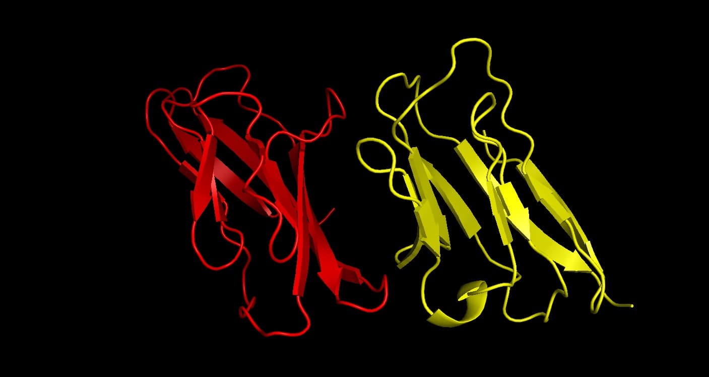Protein structural analysis